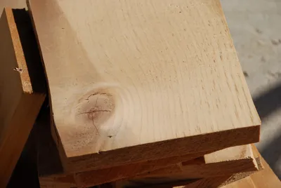 DSC_0048 (Large).JPG